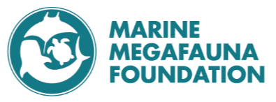 Marine Megafauna Foundation