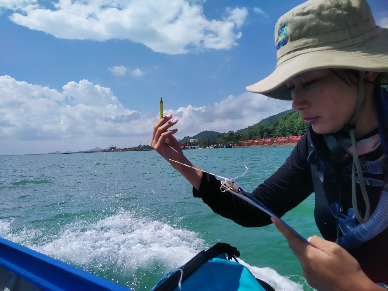 Plastics in Seagrass, Coral, and Mangroves: What Researchers Are Discovering