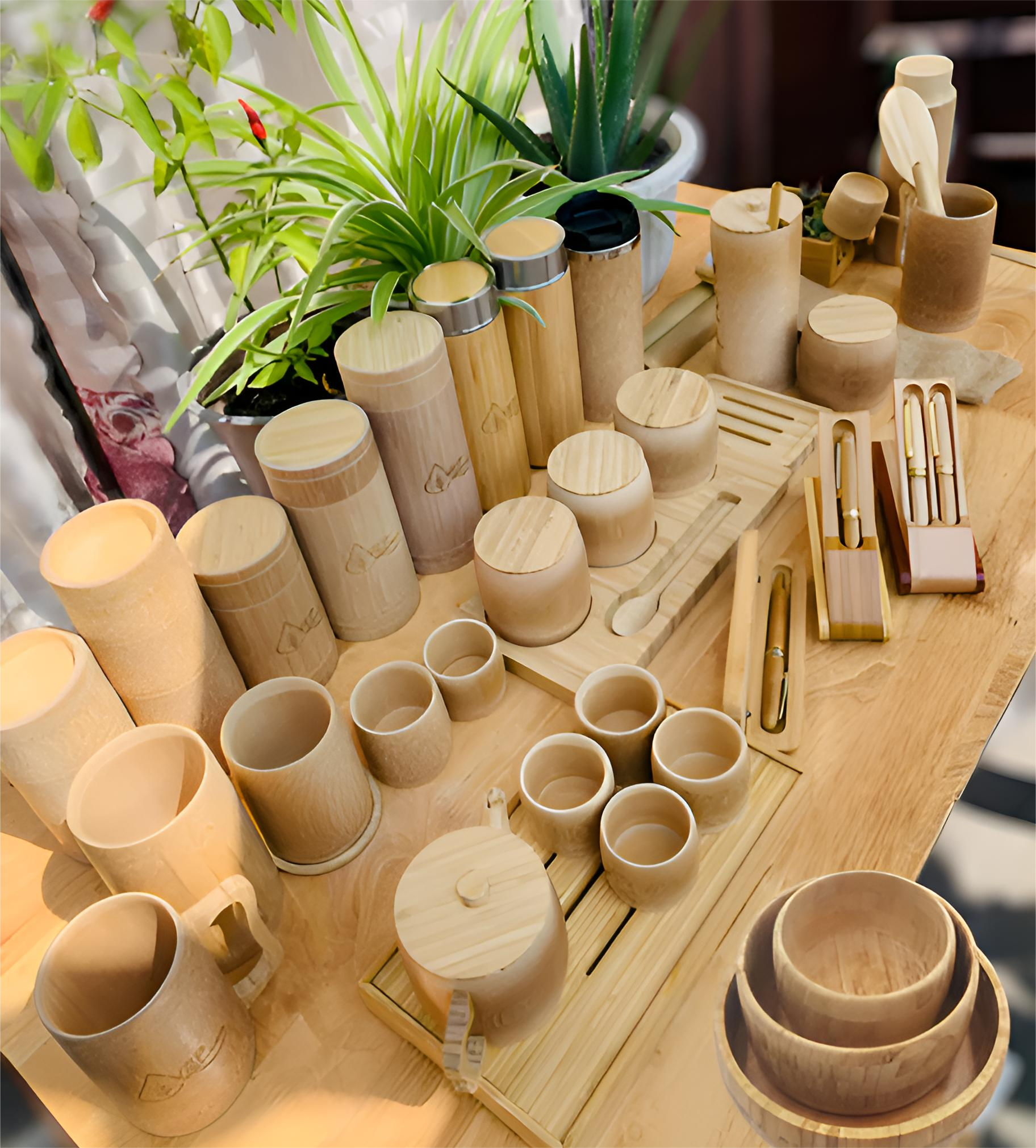 Bamboo and Grass Products for an Eco-Conscious Lifestyle