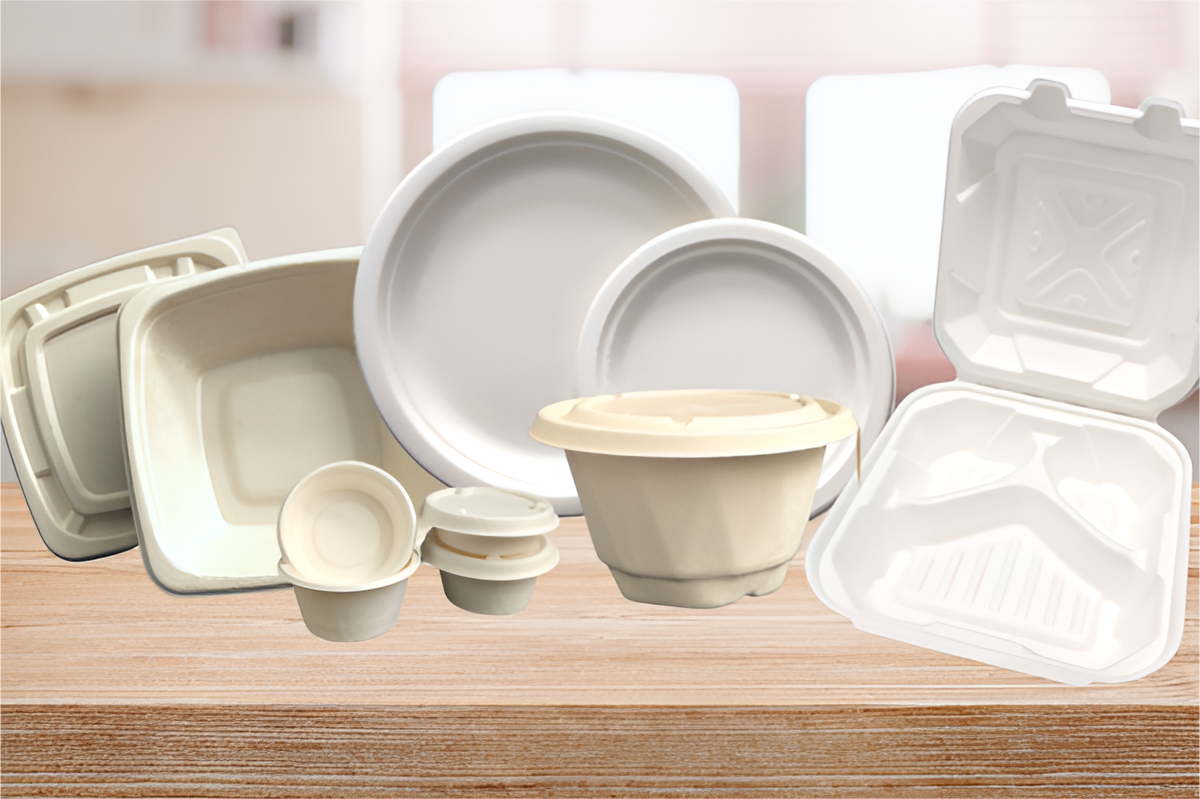 Eco-Friendly Food Packaging for Safe and Sustainable Takeaways