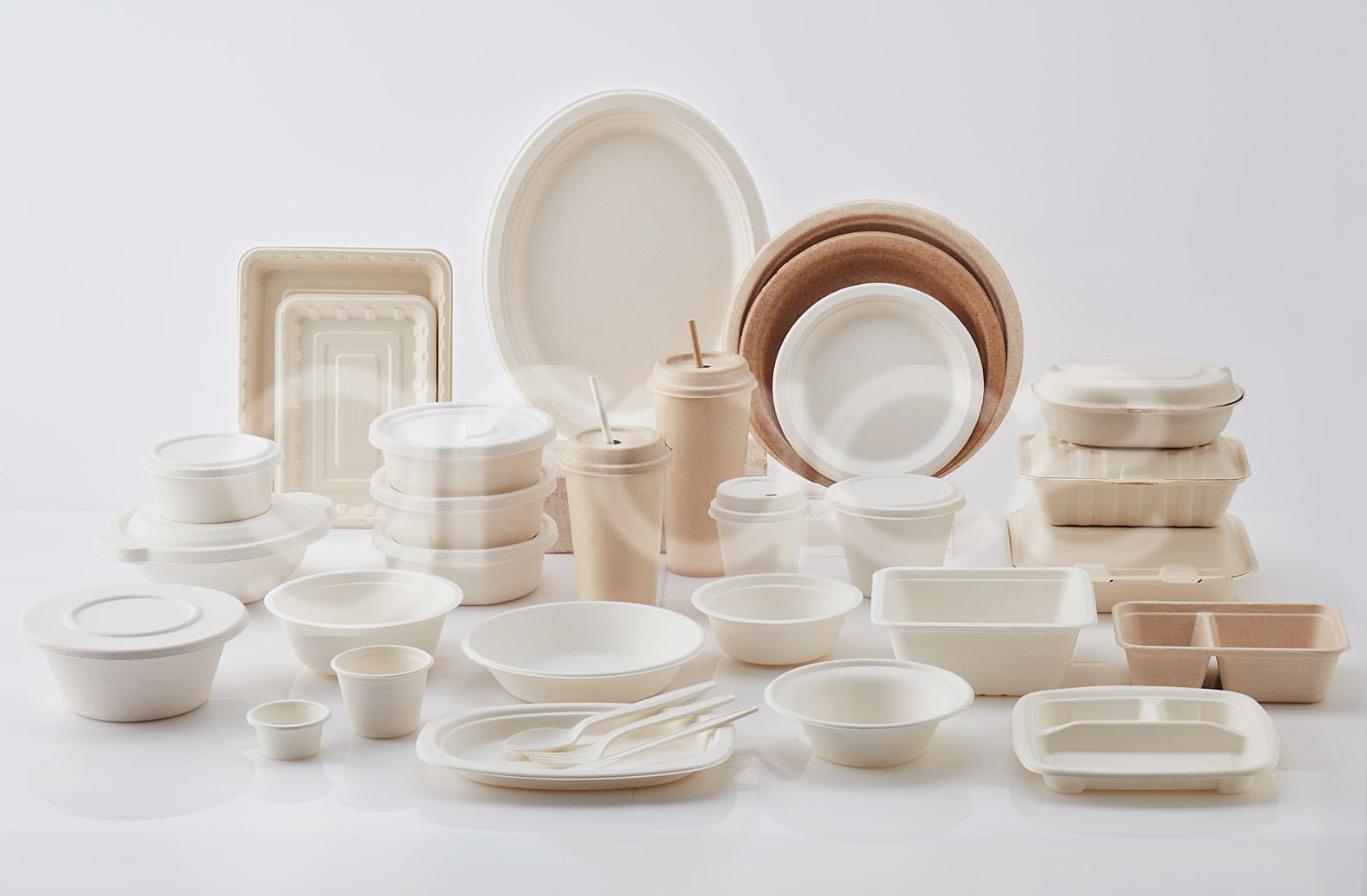 Gracz: 100% Compostable Products Made from Natural Plant Fiber